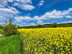 IMG_4323 IMG_4323
