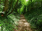 0012CP-_2026051728629-N7-_D2COb-klingen-_Malheckenweg.jpg