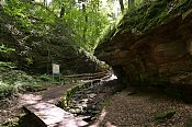 0022CP-_2023071628229-P4-_D2CKlingenberg2CMain-_Seltenbachschlucht.jpg