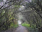 0042CW-_2025111028729-N7-_D2CReinheimer_Teich-.jpg