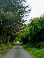 20260520_112238.jpg