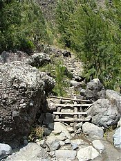 DSCF0136.jpg