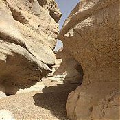 IMG_2392.jpg