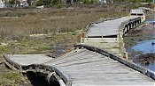 P1000125.jpg