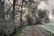 jj_DSF5247-DxO_DeepPRIME-3_1.jpg