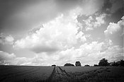 otzberg_Feld_282329.jpg