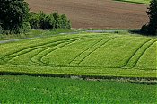 otzberg_Feld_28729.jpg